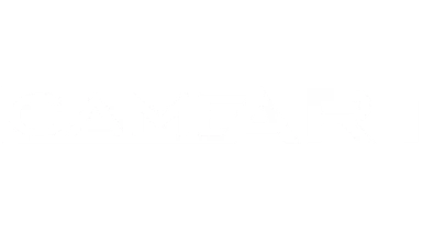 partners who work with deltin